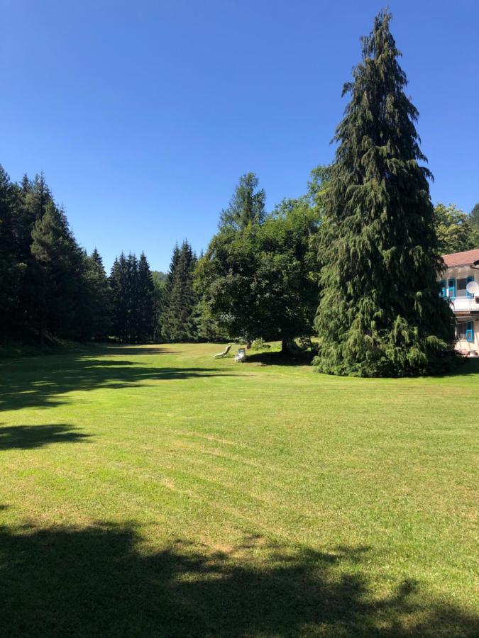 Agriturismo La Casa Nel Bosco Boveglio Exterior foto